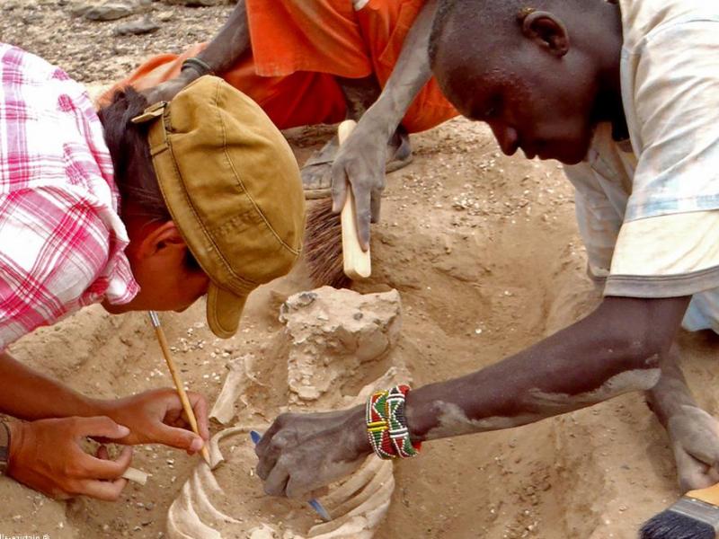  Kenya  human remains have been found in Kenya