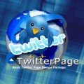 Twitter Page Design Packages - TwitterPage Basic